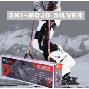 Ski-mojo silver|...